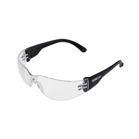 Schutzbrille